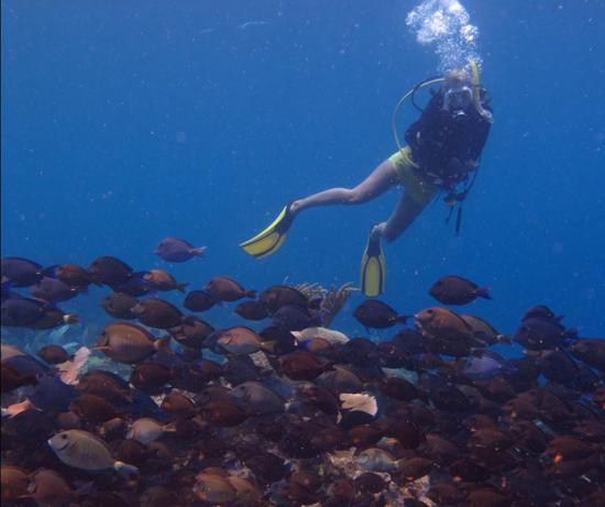 Divemaster Internship